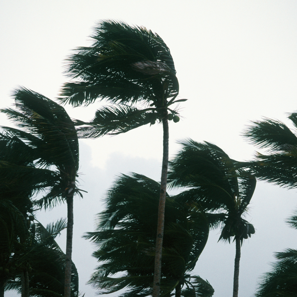 台風の音